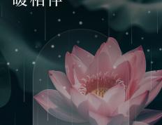世俱杯-包含斯图加特困难时期，寻找突破口的词条