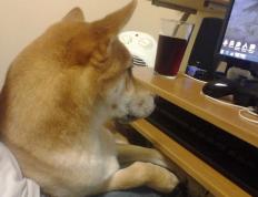 世俱杯改制-双线辉煌，老鹰击穿独行侠，塔图姆欧冠淘汰赛接管战局