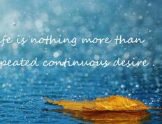 世俱杯2025-救赎之夜，当马克西的绝杀与詹姆斯的传奇在篮球史上擦肩而过