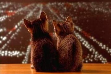 世俱杯参赛资格-足球场的疯狂，映照篮球场的逆袭，当76人复刻欧冠奇迹之夜