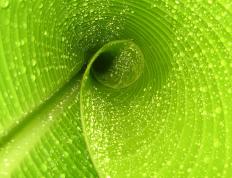 世俱杯-拉文狂砍47分主宰关键战，深圳队末节逆转骑士获三连胜