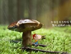 世俱杯奖金-突破封锁，从加勒比海的炮舰到篮球场的绝杀传奇