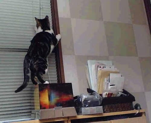 世俱杯赛程-欧冠决赛焦点战，爵士稳稳拿下奇才