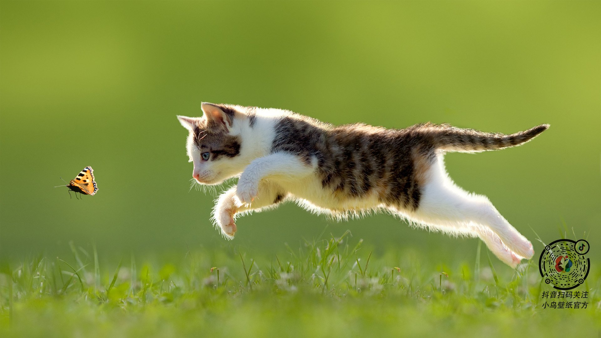 世俱杯2025-节奏掌控与舞台光芒，牙买加胜哥斯达黎加的启示与格列兹曼的大赛传奇