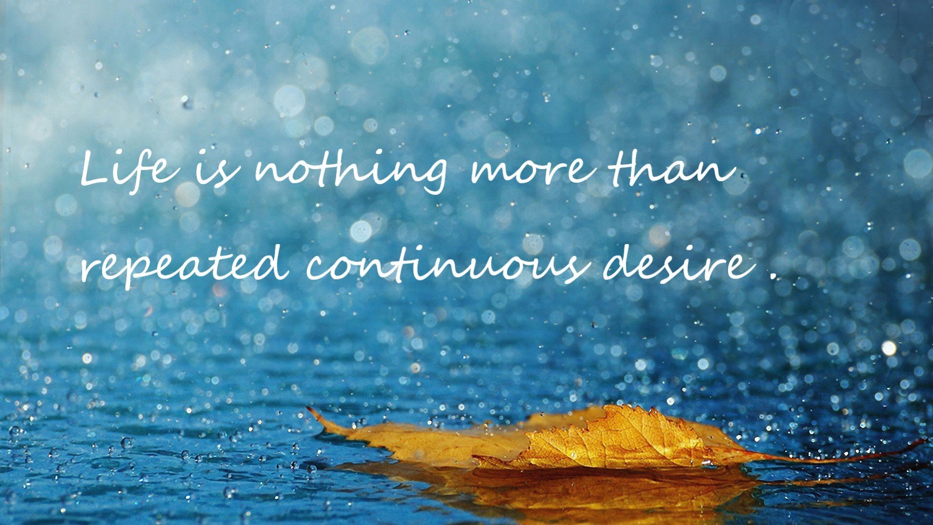 世俱杯2025-救赎之夜，当马克西的绝杀与詹姆斯的传奇在篮球史上擦肩而过