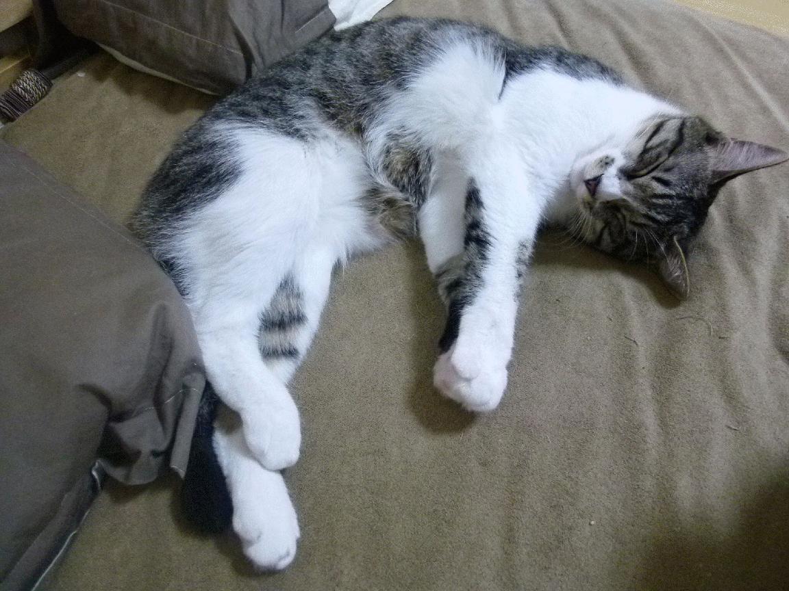 世俱杯改制-个体闪光难敌体系碾压,久保建英纪录夜背后的足球哲学沉思