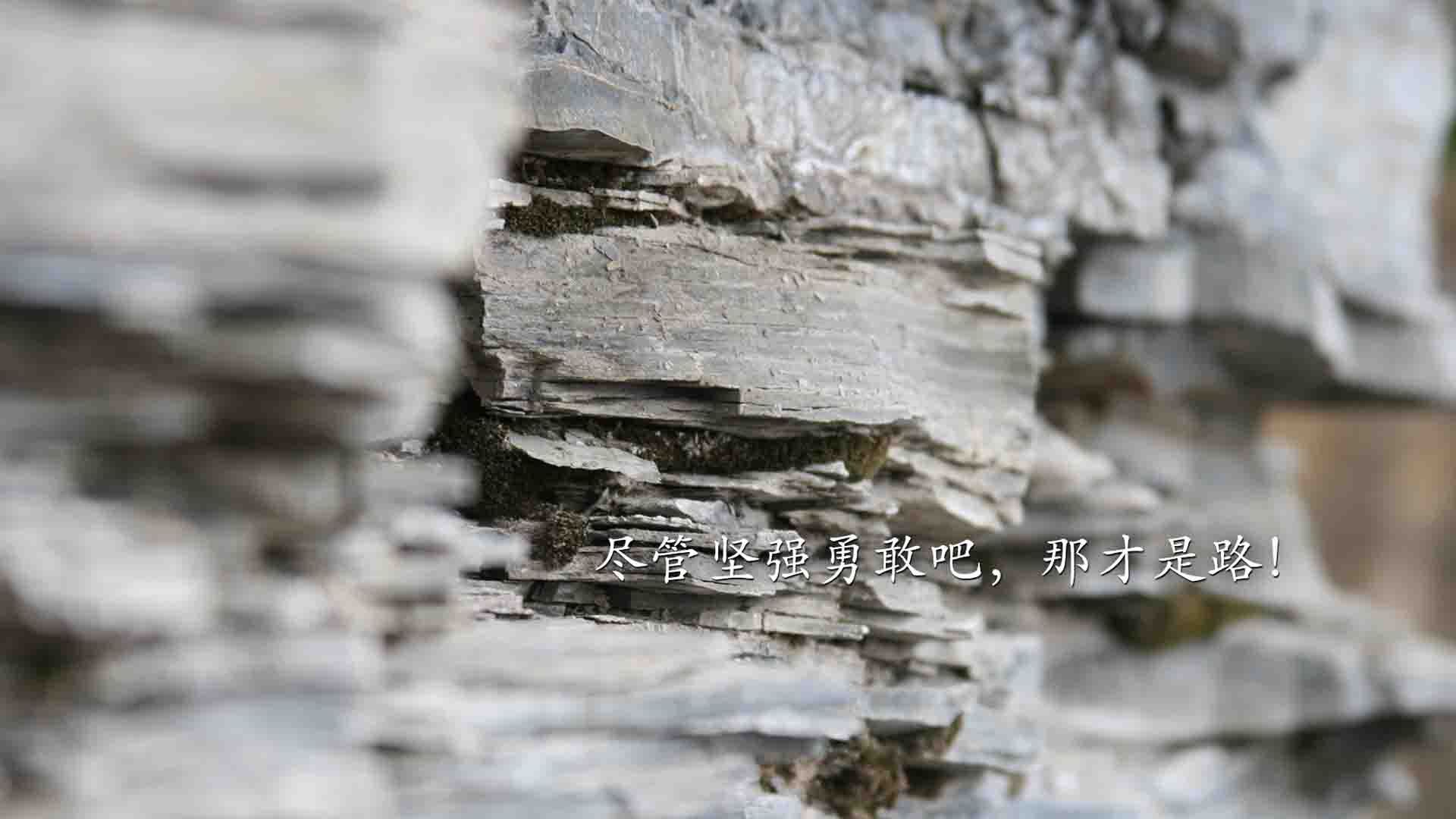 世俱杯决赛-波兰战术机器无情碾碎亚特兰大，老将皮克一锤定音化身关键先生