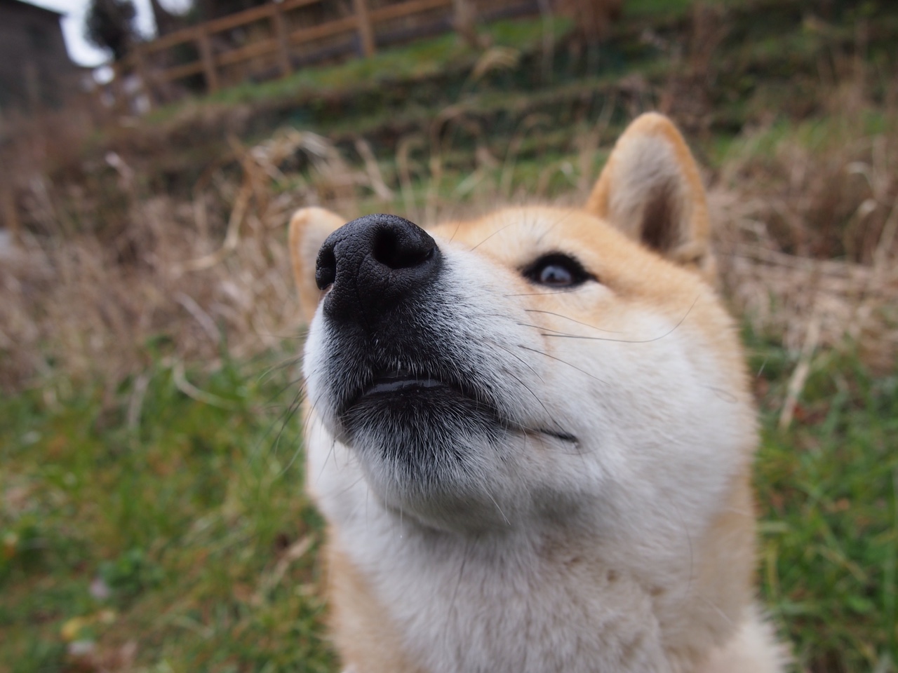 世俱杯直播-关键先生凯塞多!曼城力克哥伦比亚,友谊赛上演战术盛宴